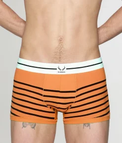 Bluebuck Nautical 25 Trunk