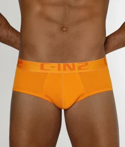 C-IN2 Core Brief