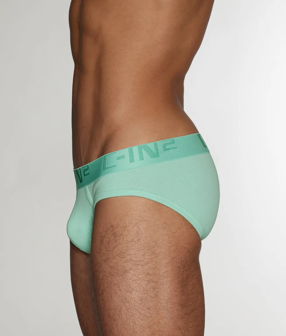 C-IN2 Core Lo No Show Profile Brief