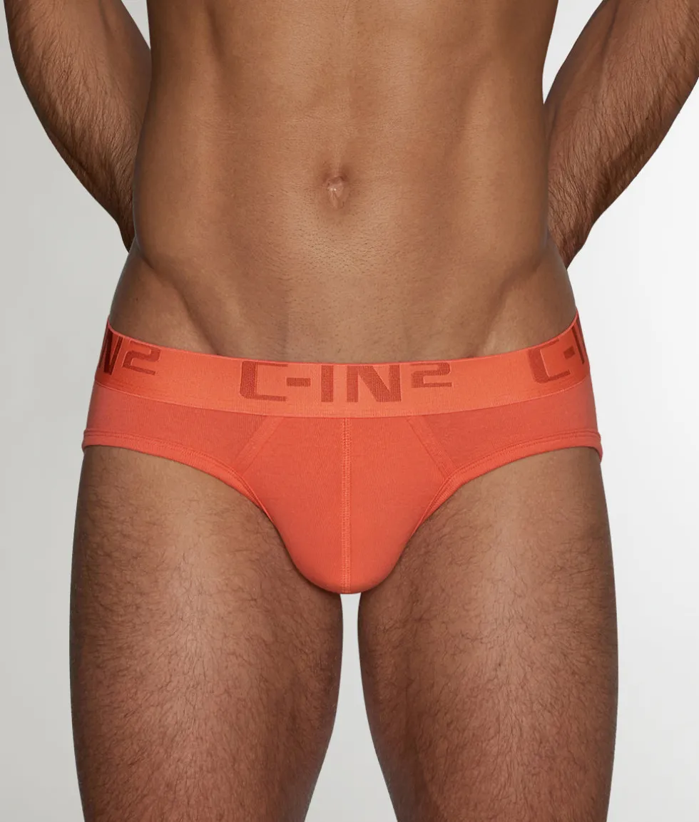 C-IN2 Core Lo No Show Profile Brief