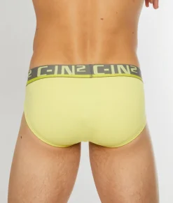 C-IN2 C-Theory Brief