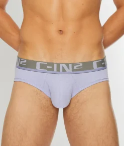 C-IN2 C-Theory Brief