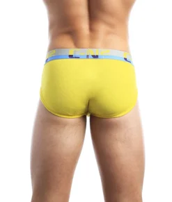 C-IN2 C-Theory Brief