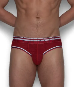 C-IN2 Zen Brief