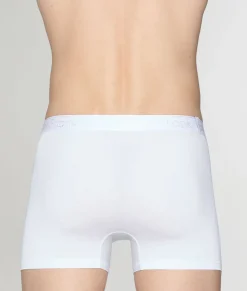 John Frank Natural Modal Trunk