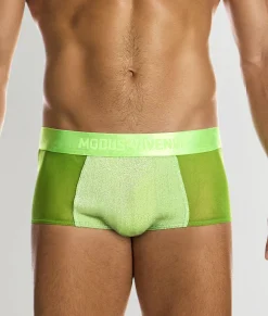 Modus Vivendi Delusion Trunk