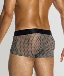Modus Vivendi Illusion Trunk
