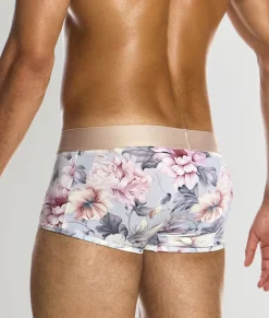 Modus Vivendi Romance Trunk