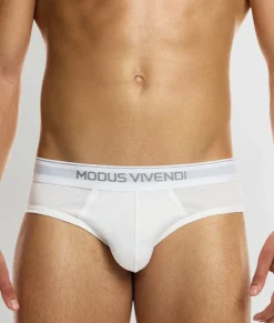 Modus Vivendi Staple Brief