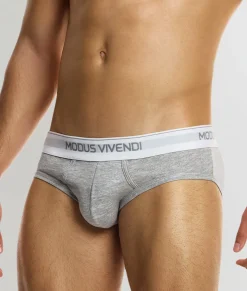Modus Vivendi Staple Brief