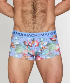 Muchachomalo Brick Trunk