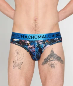 Muchachomalo Eagle Brief