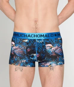Muchachomalo Eagle Trunk
