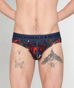 Muchachomalo Palm Birds Brief