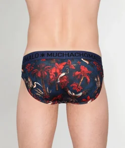 Muchachomalo Palm Birds Brief