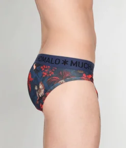 Muchachomalo Palm Birds Brief