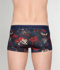 Muchachomalo Palm Birds Trunk