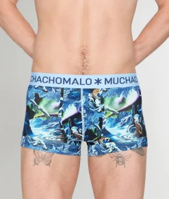 Muchachomalo Pre History Trunk