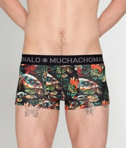 Muchachomalo Turtle Trunk