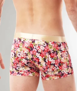 Parke & Ronen Printed Low-Rise Trunk