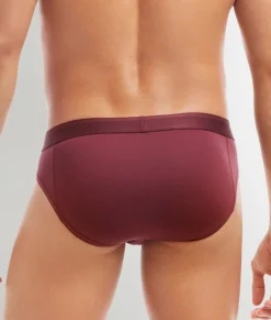 2(X)IST Electric Brief