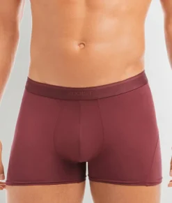 2(X)IST Electric Trunk