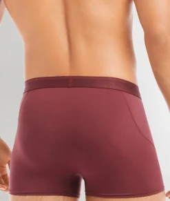 2(X)IST Electric Trunk