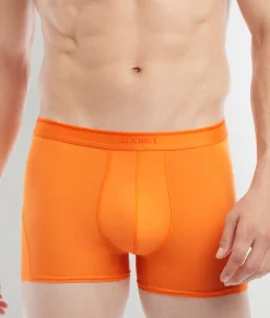 2(X)IST Electric Trunk