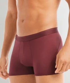 2(X)IST Electric Trunk